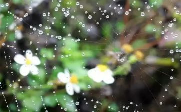 写风或雨的作文6篇
