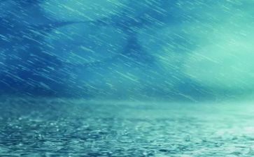 《细雨》读后感8篇