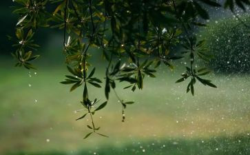 黑雨的心得体会2000字推荐6篇