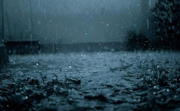 《春雨》读后感5篇