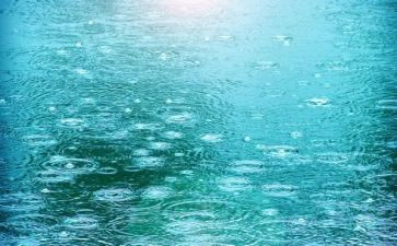 雨和雪的邂逅作文参考5篇