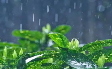 英雄雨来观后感优秀5篇