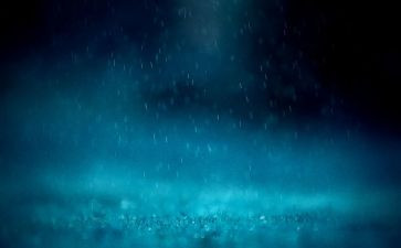 春天的雨演讲稿7篇
