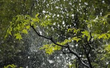 关于下雨的优秀作文5篇