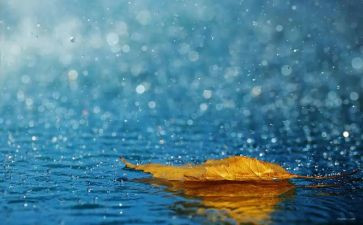 春天的雨演讲稿优质8篇