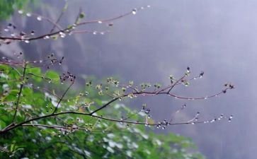春天的雨演讲稿最新7篇
