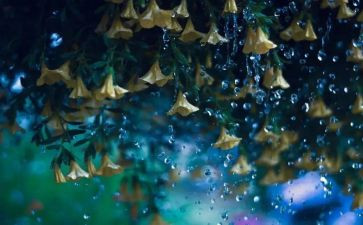 英雄雨来观后感优质6篇