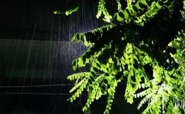 英雄雨来观后感最新7篇