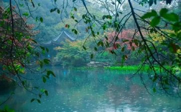 黑雨的心得体会2000字最新5篇