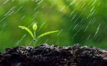 春雨读后感5篇