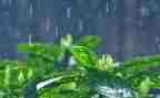 英雄雨来观后感优秀5篇