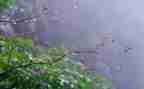 幼儿园下雨啦教案8篇