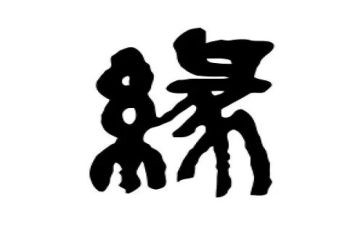 三字缘的心得体会参考7篇