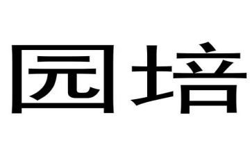 幼儿园培训学习心得体会优质6篇