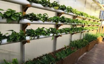 幼儿园培训后心得模板5篇