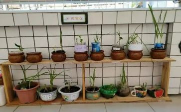 幼儿园培训后心得最新6篇