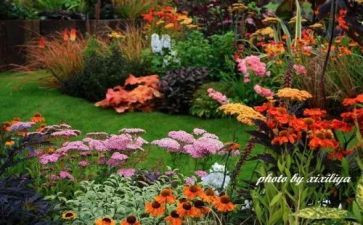 幼儿园艺术课教案优质6篇