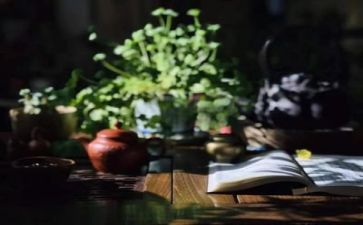 与阅读的演讲稿精选6篇