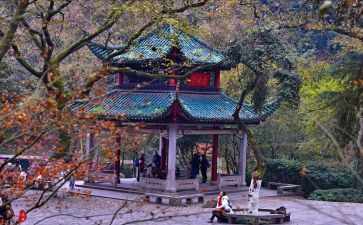爬岳麓山作文模板5篇