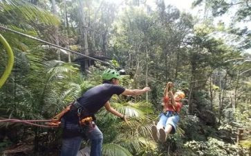 去雨林探险的作文6篇