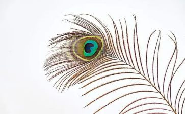 打羽毛球的作文400字5篇