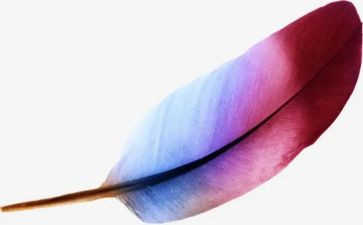 羽毛球作文800字6篇