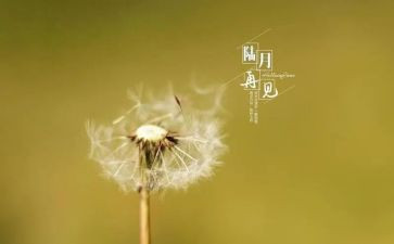 再见作文600字5篇