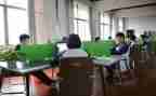 大学生在校工作总结5篇