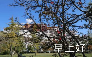 入学早教育的心得体会最新5篇