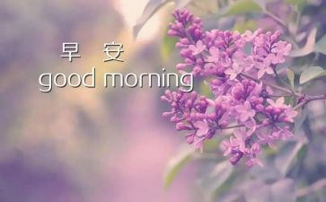 学校早演讲稿优秀8篇