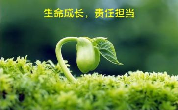 安全的责任演讲稿精选7篇