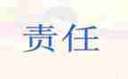 从严治党主体责任调研报告6篇