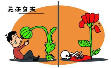观看张子权心得体会通用5篇