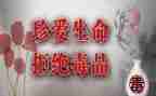 观看张子权心得体会推荐6篇