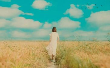 站起来站起来教案5篇