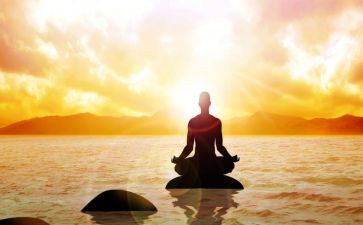 站起来站起来教案最新5篇