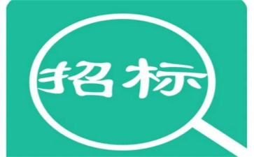 招标代理年终工作总结8篇