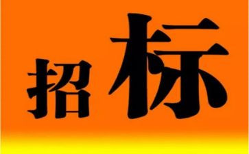 2024年招标工作个人总结6篇