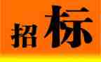 2024招标个人年终总结5篇