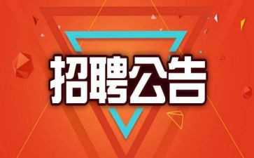 2024年招聘工作总结6篇
