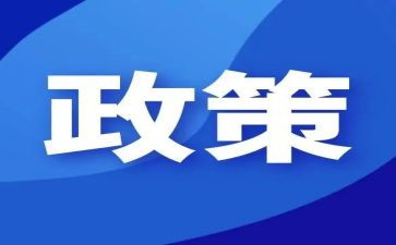 小学生双减政策的心得体会7篇