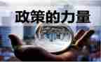 政策形式心得体会5篇