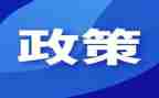 小学生双减政策的心得体会7篇