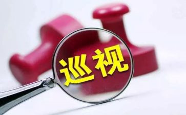 巡察整改报告8篇