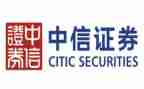 2024证券公司述职报告6篇