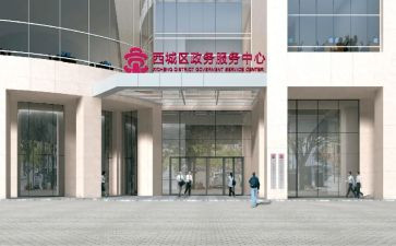 政务服务自查报告5篇
