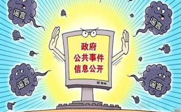 市政务公开日活动总结5篇