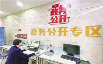 2024年政务公开工作总结5篇