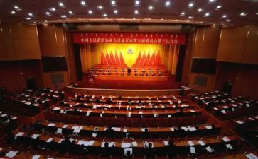 2024政协委员述职报告优秀8篇
