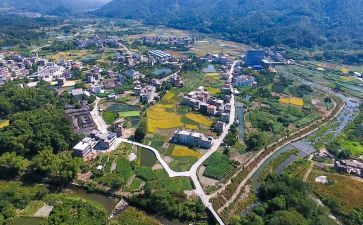 振兴乡村建设的心得体会5篇